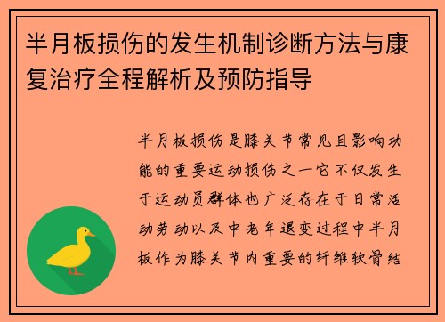 半月板损伤的发生机制诊断方法与康复治疗全程解析及预防指导 半月板损伤的发生机制诊断方法与康复治疗全程解析及预防指导